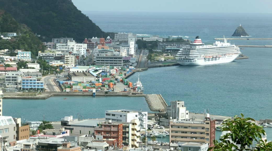 名瀬港 一番手前が本港地区、貨物が置かれている川の対岸が新港地区、船が停泊している所が長浜地区。