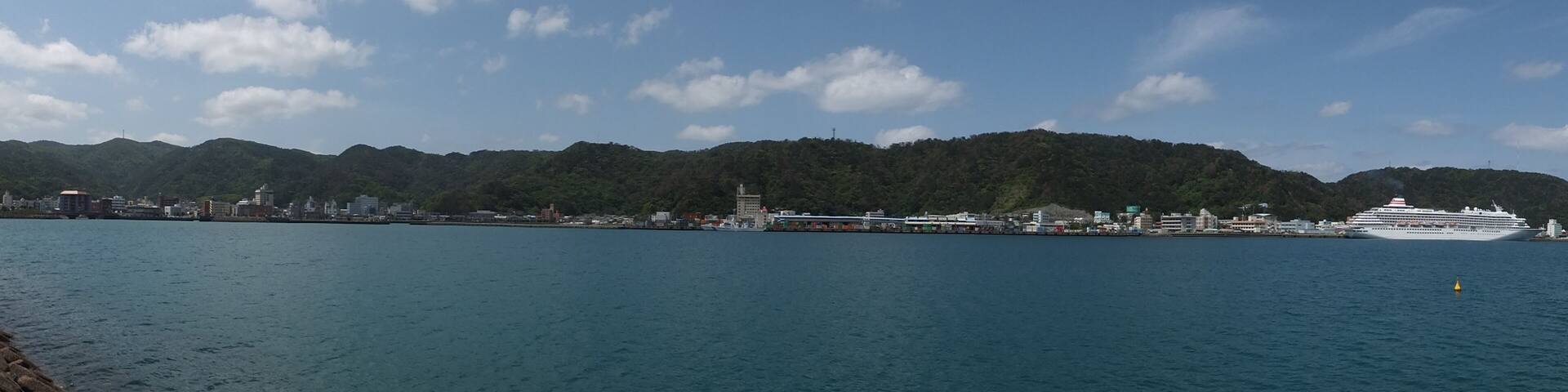 A cruise ship docked at a port with a cityscape and forested hills in the background.