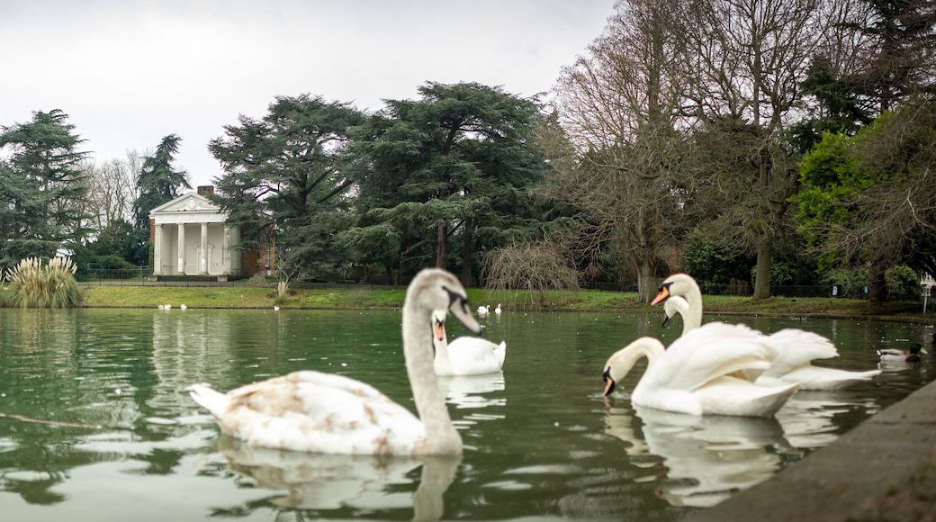 LONDON- Gunnersbury Park pond and gardens in Hounslow, west London, UK. A large park with museum and cafe