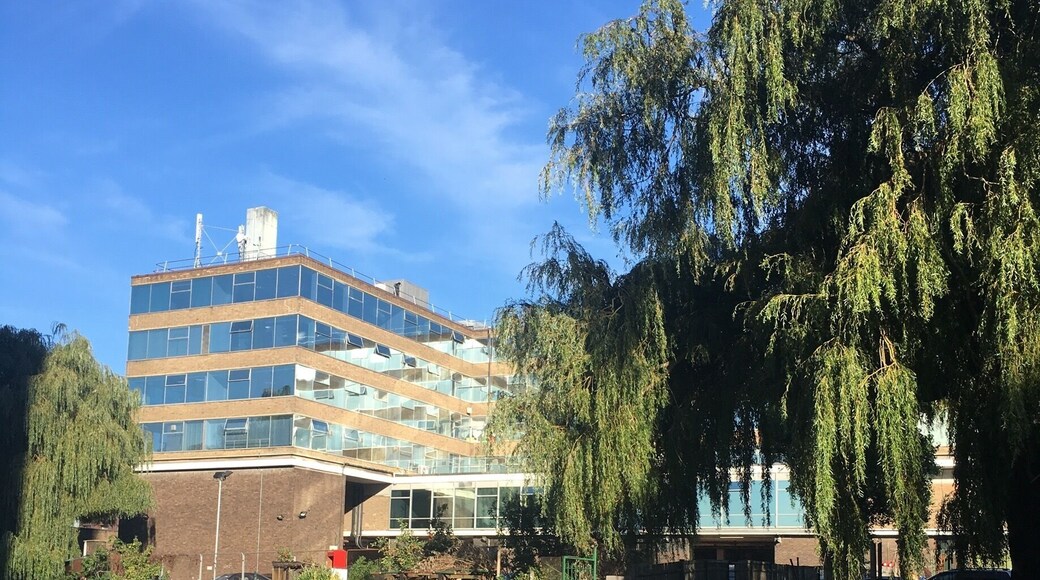 ❤️❤️🍂🍁🏃🏽