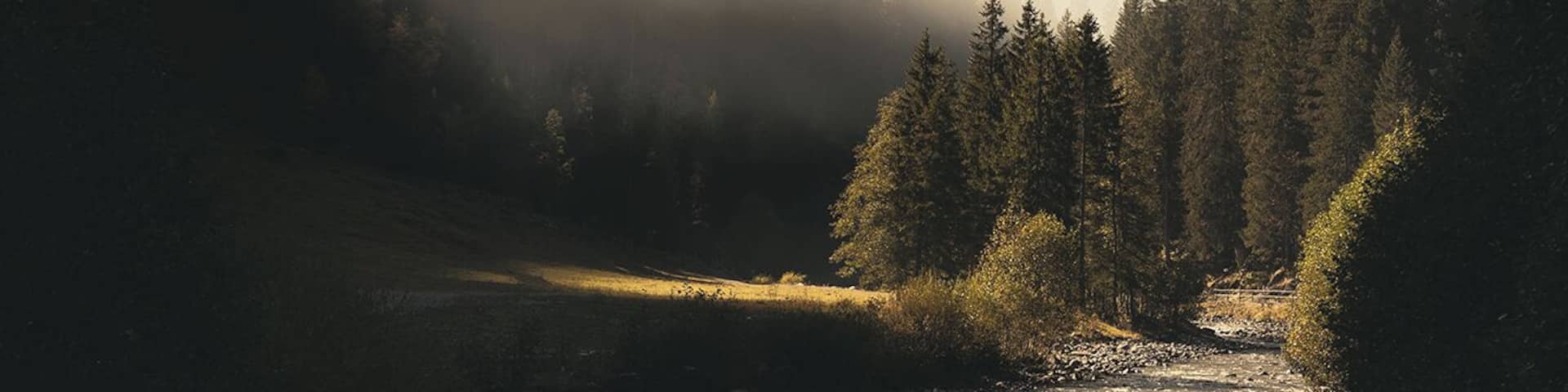 A river flowing through a forested valley with mountains in the background.