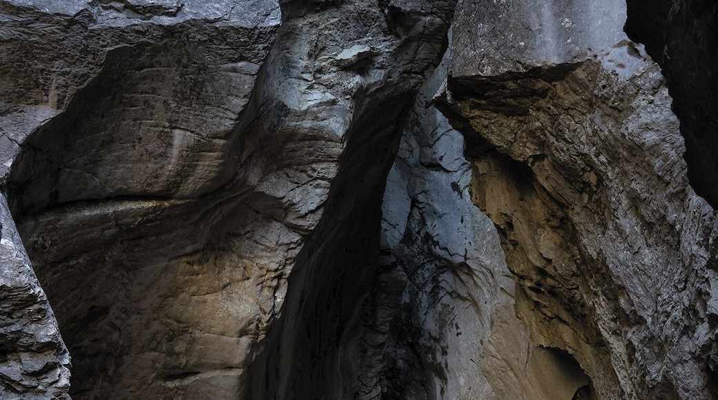 Lesser known, but stunning as it is, this Glacier gorge showcases an array of bizarre rock formations along the walking path.