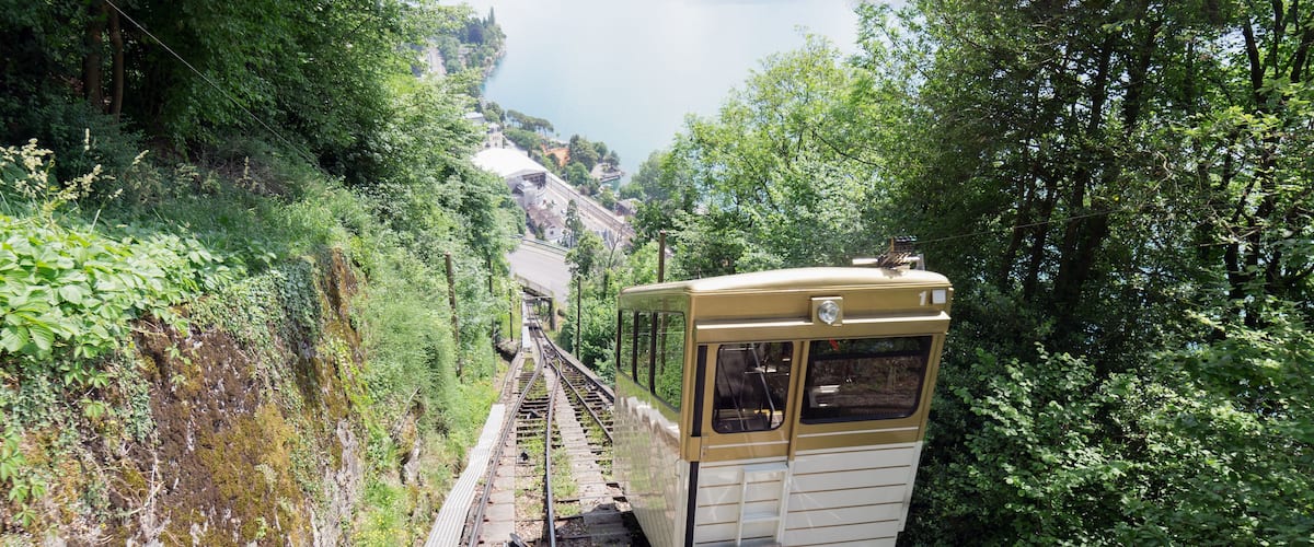 A vintage train on a narrow track surrounded by lush greenery and a steep hillside.