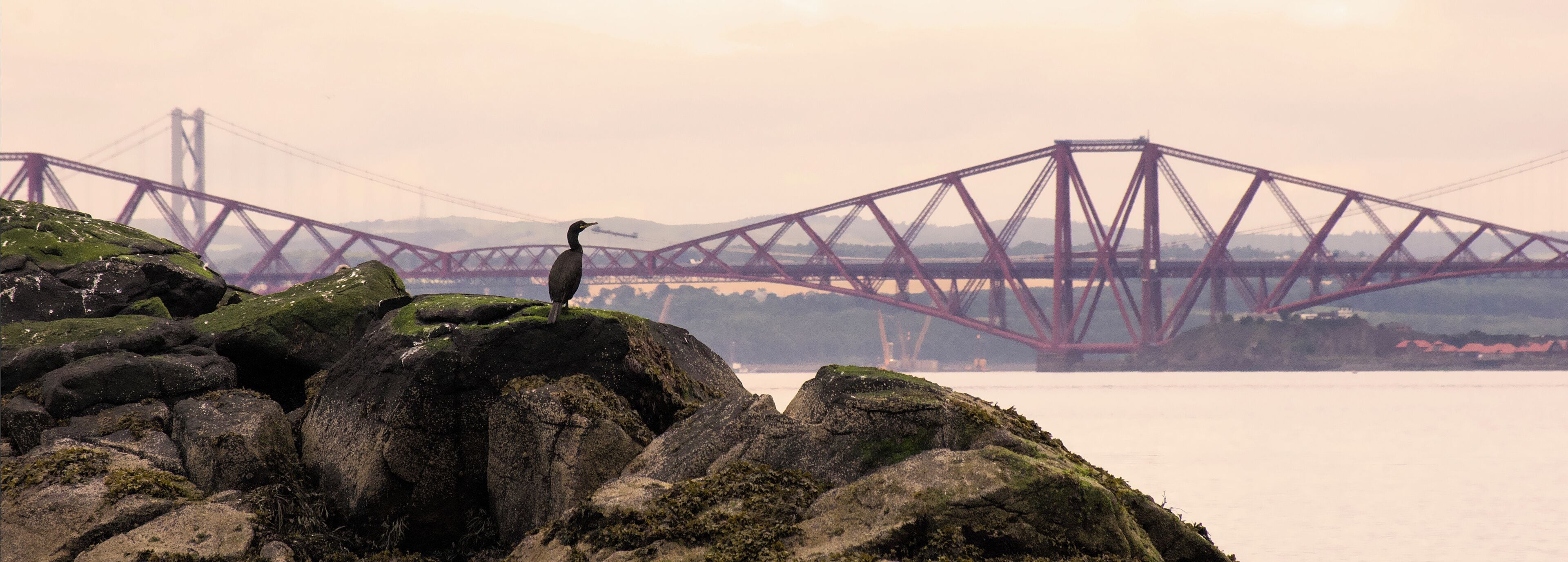 This is a photo of listed building number