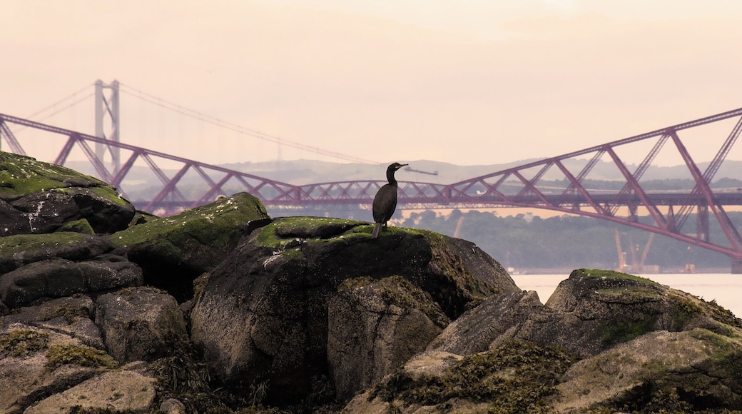 This is a photo of listed building number