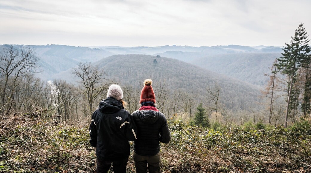 Together enjoying the view over the Ourthe Valley in the Ardens. #belgium #hiking #places #troveon