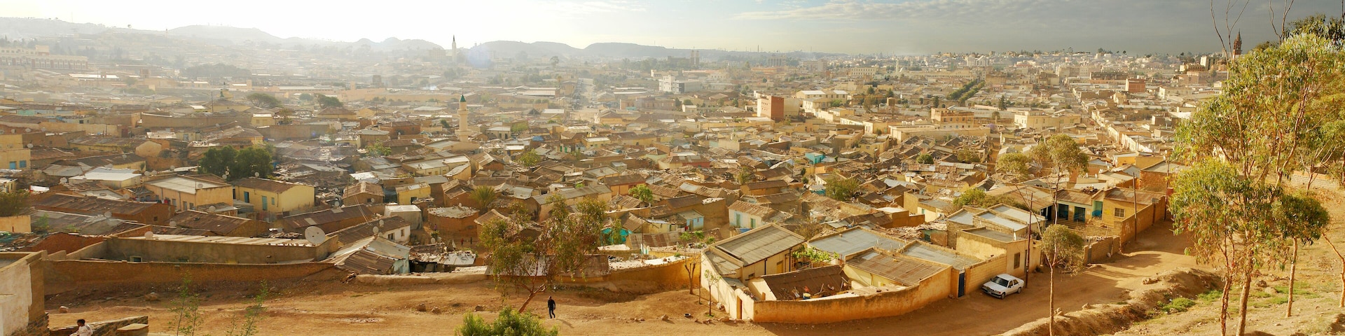 A densely populated urban area with numerous buildings and a prominent mosque.