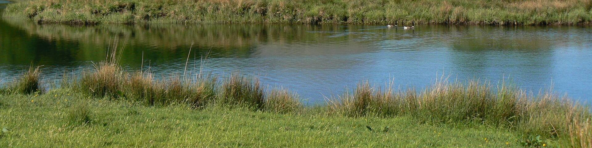 A serene landscape with a pond, lush green fields, and a mountain range in the background.