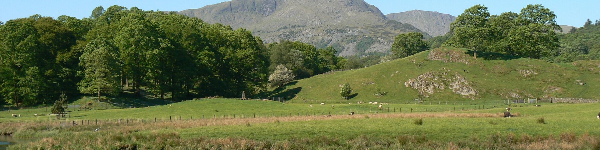 Un paisaje sereno con un estanque, campos verdes exuberantes y una cadena montañosa al fondo.