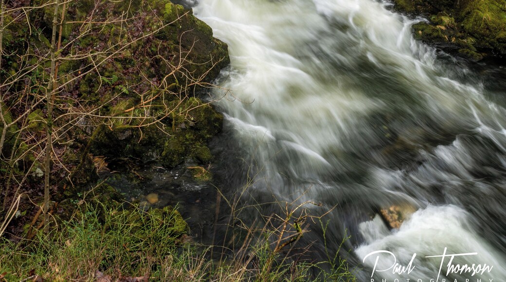 Colwith Force Lake District Cumbria from our recent trip where the weather wasn't cooperating so the trip turned into a scouting day.
➡️Video Link Below ⬅️
🔻
https://youtu.be/VwA-ZHXY3VY
#Hiking
#Lake District
#uk
#Landscapes