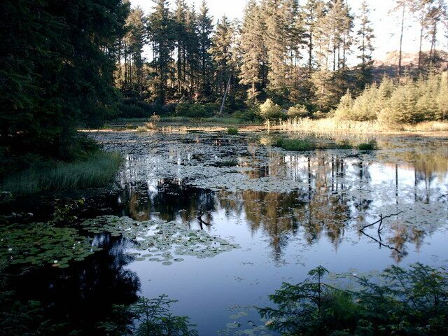 Fished out-Grizedale "No fish left"!! The "One fish left" 36885 has fallen apart.