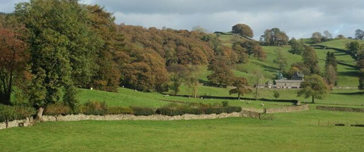 Rolling green hills, a stone wall, and a house in the distance.