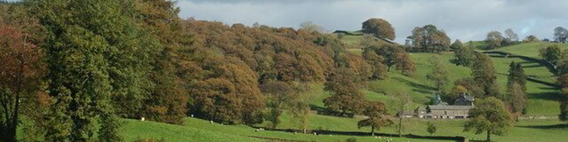 Rolling green hills, a stone wall, and a house in the distance.