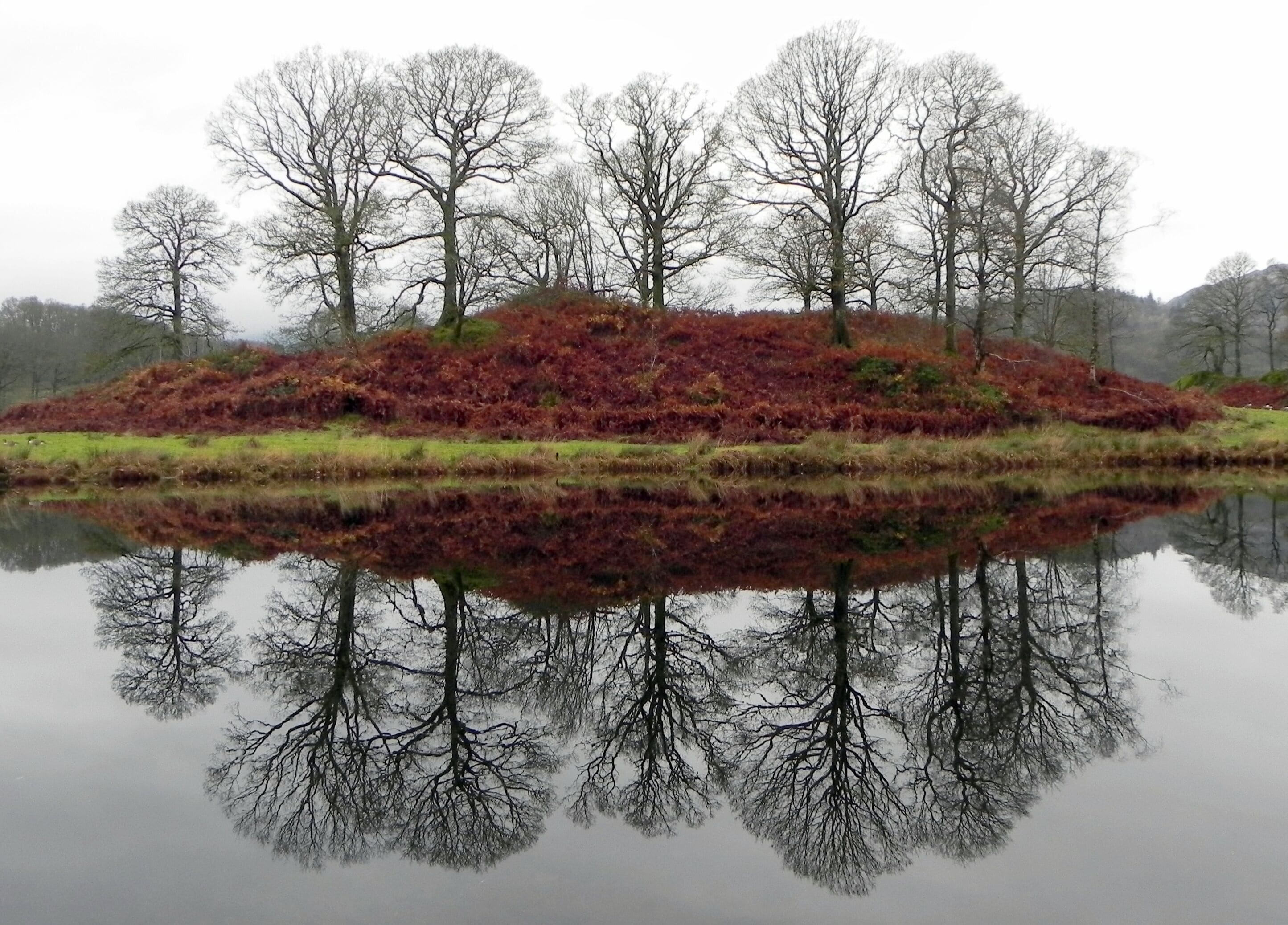 Autumnal Red Heather Reflections on Elter Water, in Lake District, England. A wonderful area for short walks or long hikes in the English countryside.

#LifeAtExpedia
#Reflections