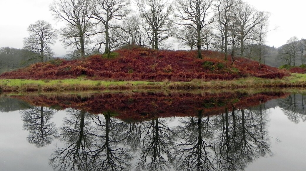 Autumnal Red Heather Reflections on Elter Water, in Lake District, England. A wonderful area for short walks or long hikes in the English countryside.
#LifeAtExpedia
#Reflections
