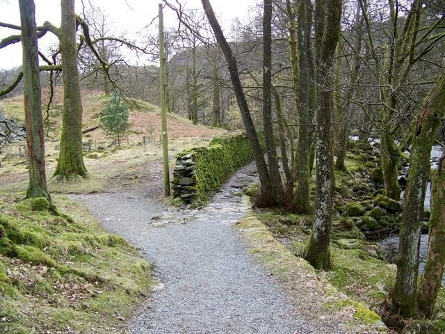 Un sendero de grava atraviesa un bosque con árboles cubiertos de musgo y un muro de piedra.