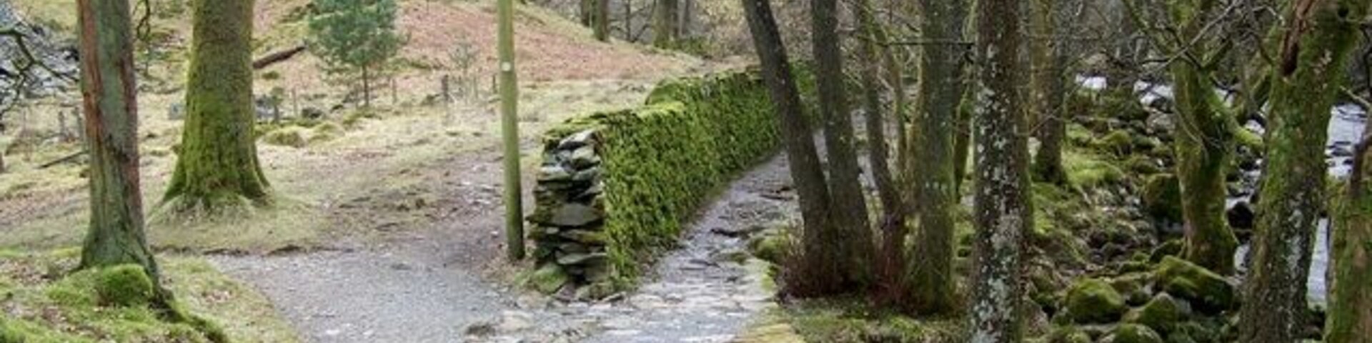 Un sendero de grava atraviesa un bosque con árboles cubiertos de musgo y un muro de piedra.