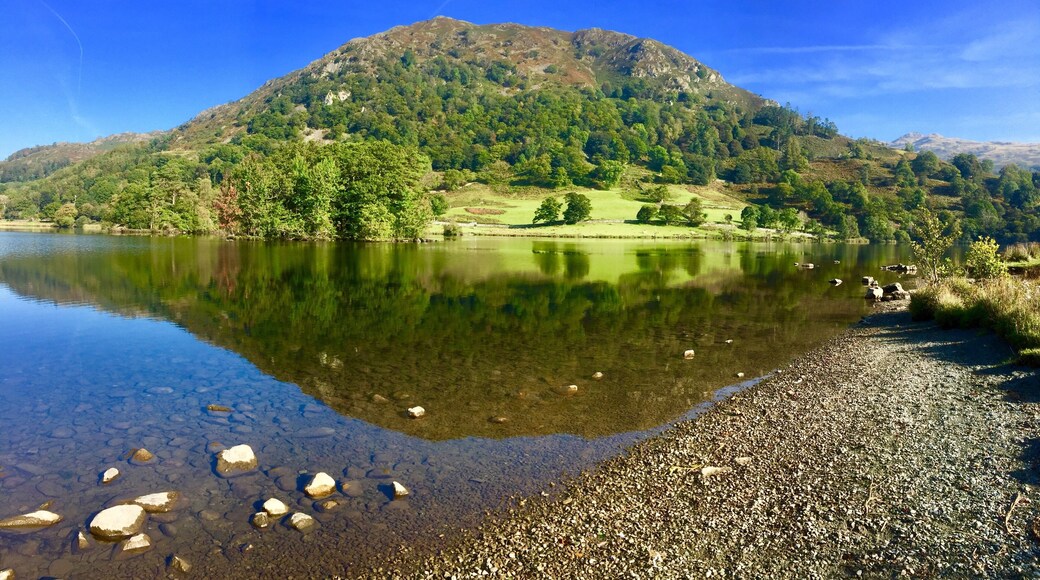 Across the lake to Heron Pike.