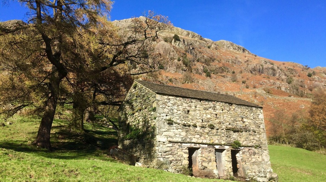 Traditional field barn