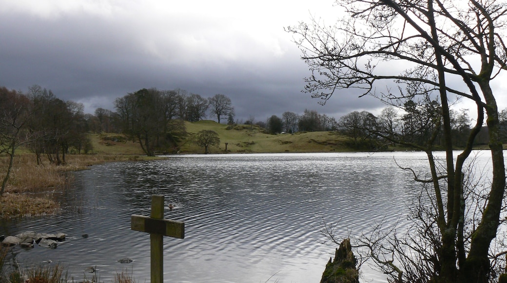 Loughrigg Tarn, February 2009