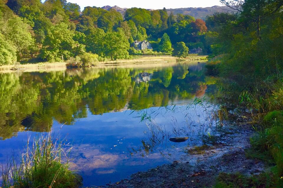 A calm lake surrounded by lush greenery and a house in the background.