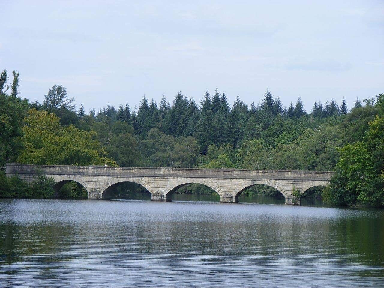 Five arch bridge in Great Windsor park #AquaTrover