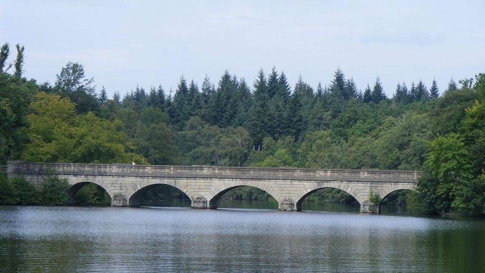 Five arch bridge in Great Windsor park #AquaTrover