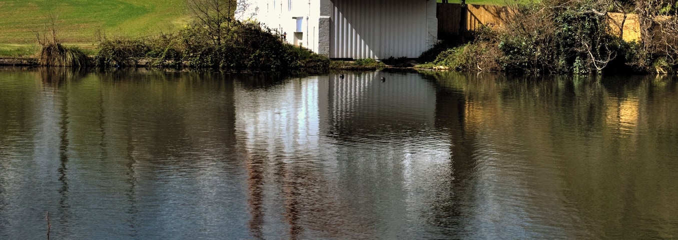 Virginia Water lake view