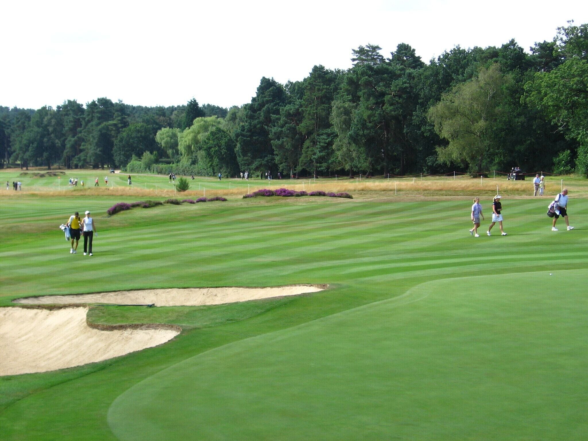 Un campo de golf con búnkeres de arena, una multitud de personas y un bosque al fondo.