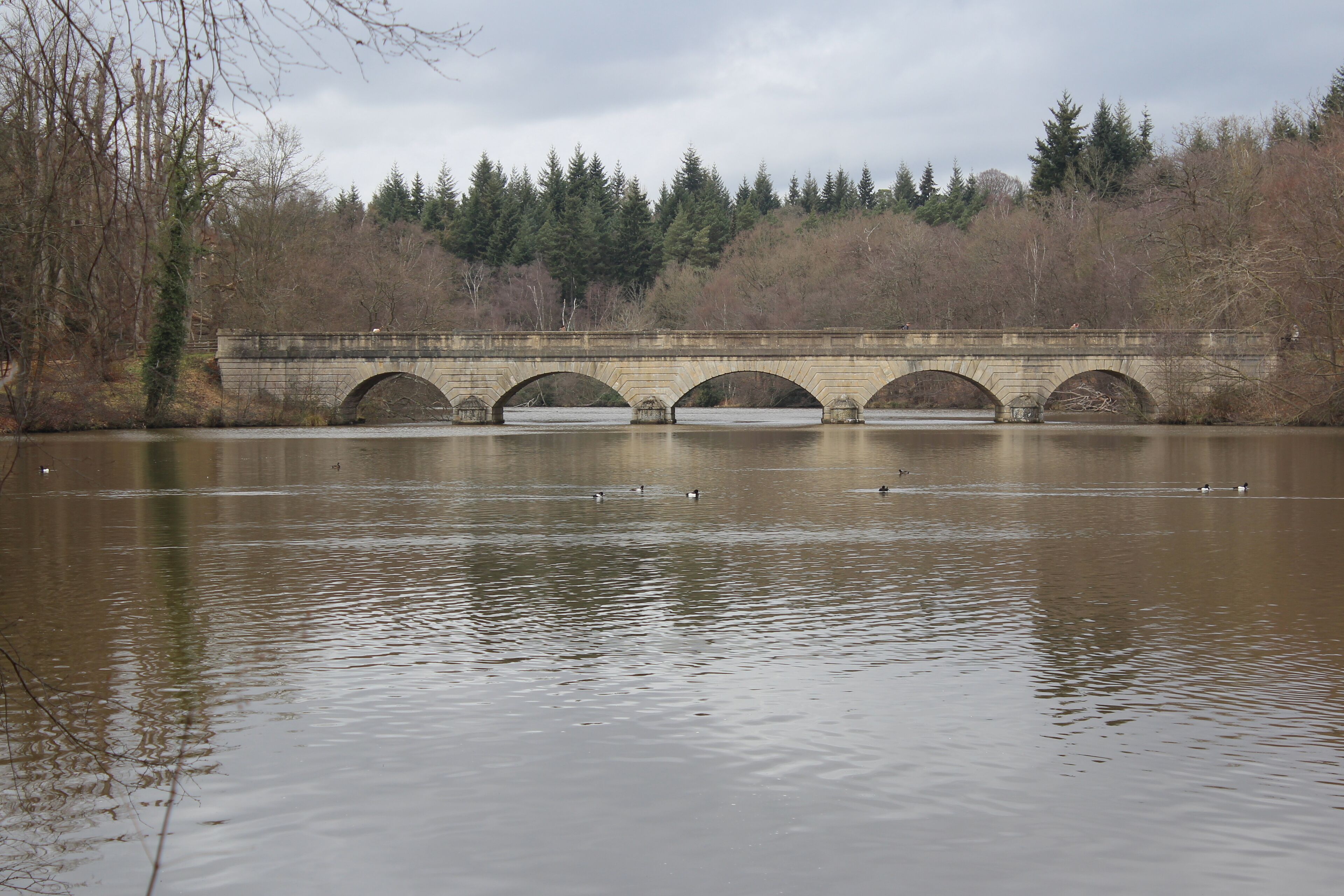 A stone bridge over a calm river with ducks swimming.