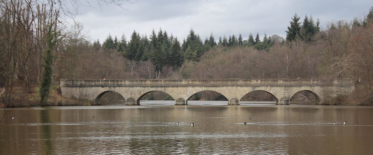 A stone bridge over a calm river with ducks swimming.