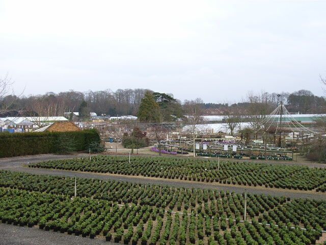 Notcutts Garden Centre, Bagshot.
