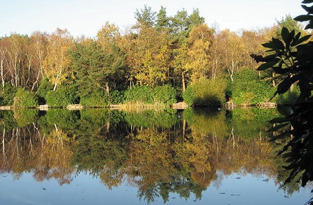 Hammond's Pond, Lightwater Country Park It is called a pond but it is really a small lake.