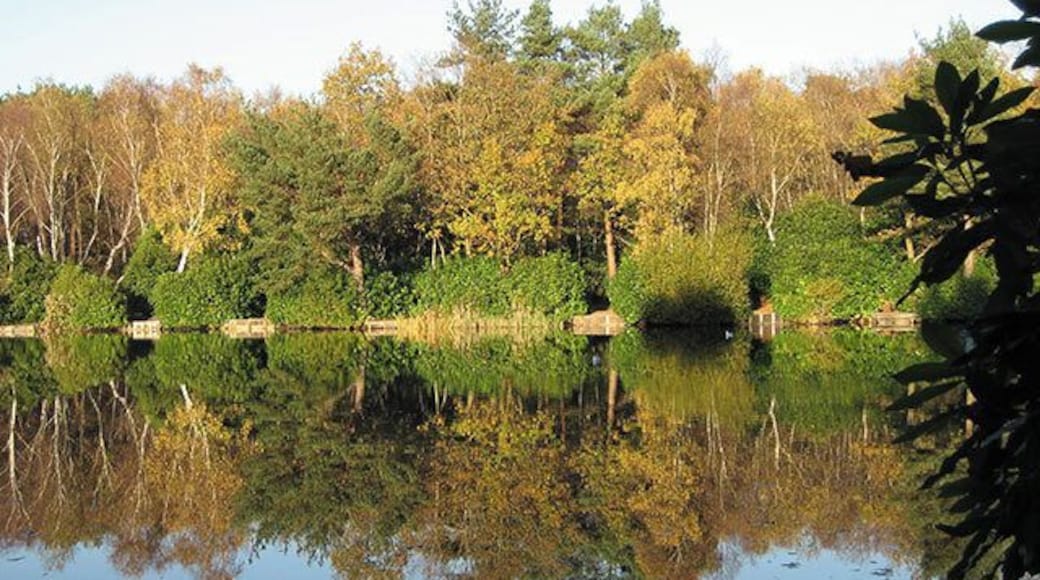 Hammond's Pond, Lightwater Country Park It is called a pond but it is really a small lake.