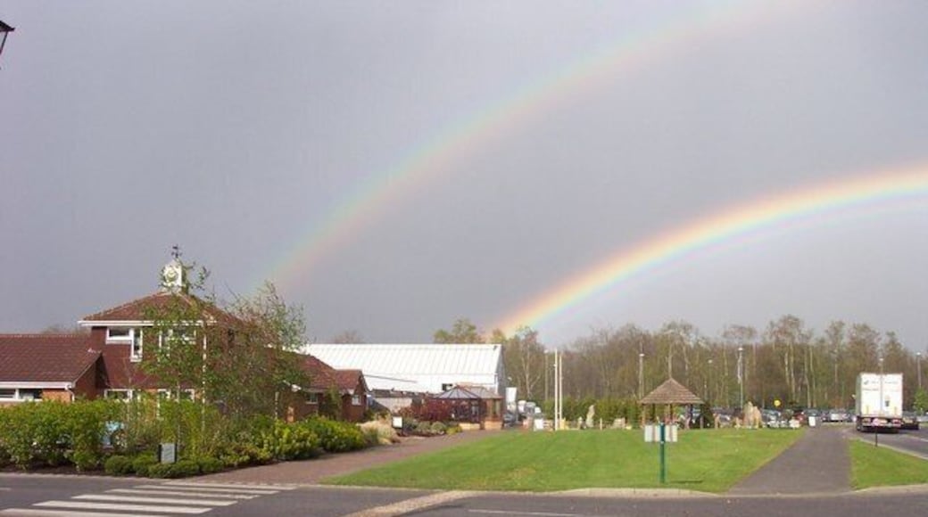 Longacres Nurseries at the end of the rainbow. A very good clear double rainbow in the spring sunshine.