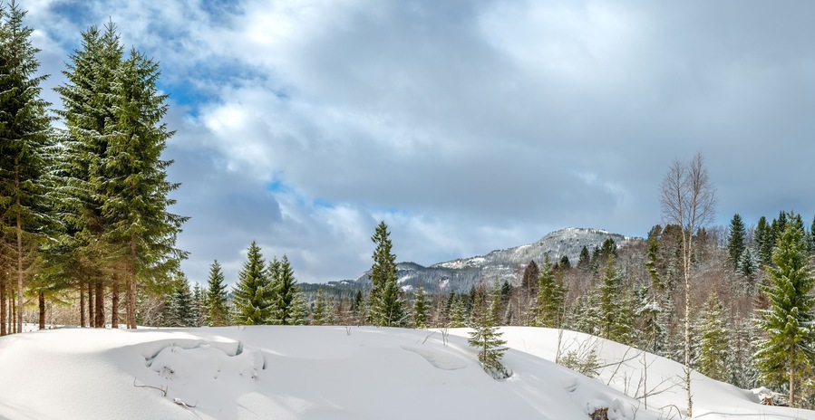 Vassbygda in Stjordal , Norway