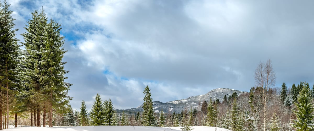 A snowy mountain landscape with evergreen trees and a cloudy sky.
