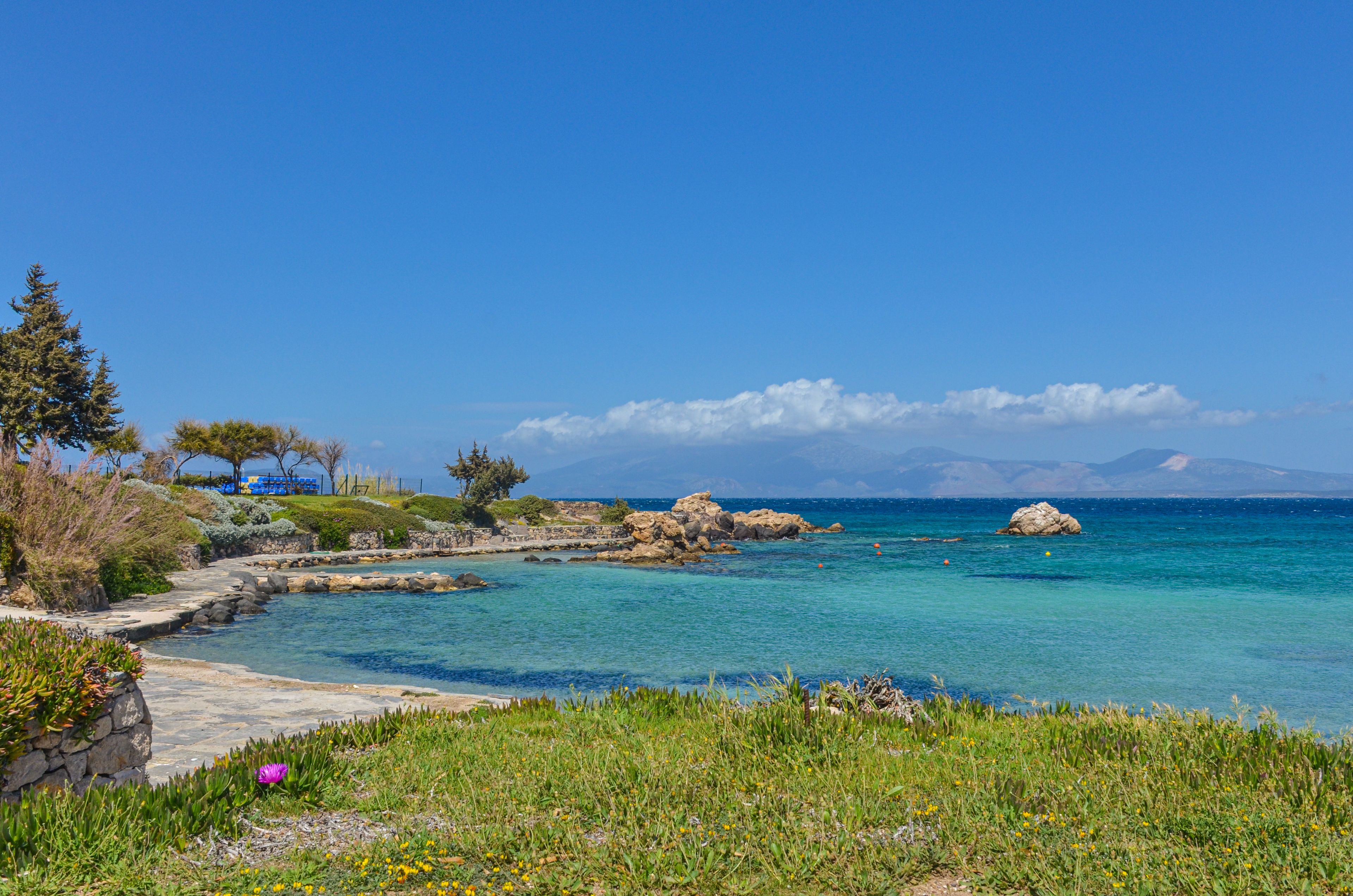 Paesaggio costiero con acque blu cristalline, affioramenti rocciosi e un sentiero in pietra che conduce a una zona erbosa fiorita.