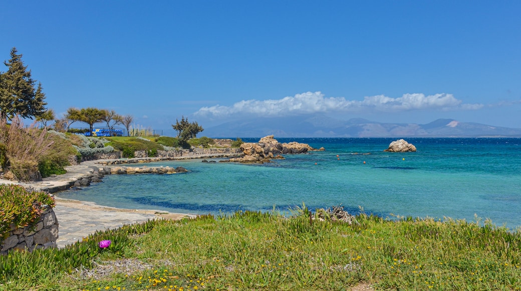 Paesaggio costiero con acque blu cristalline, affioramenti rocciosi e un sentiero in pietra che conduce a una zona erbosa fiorita.