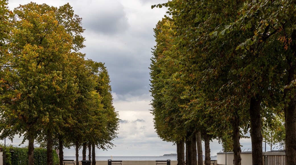Copenhagen, Denmark A view of the sea from the tree-lined Hambros Alle in the Hellerup district.