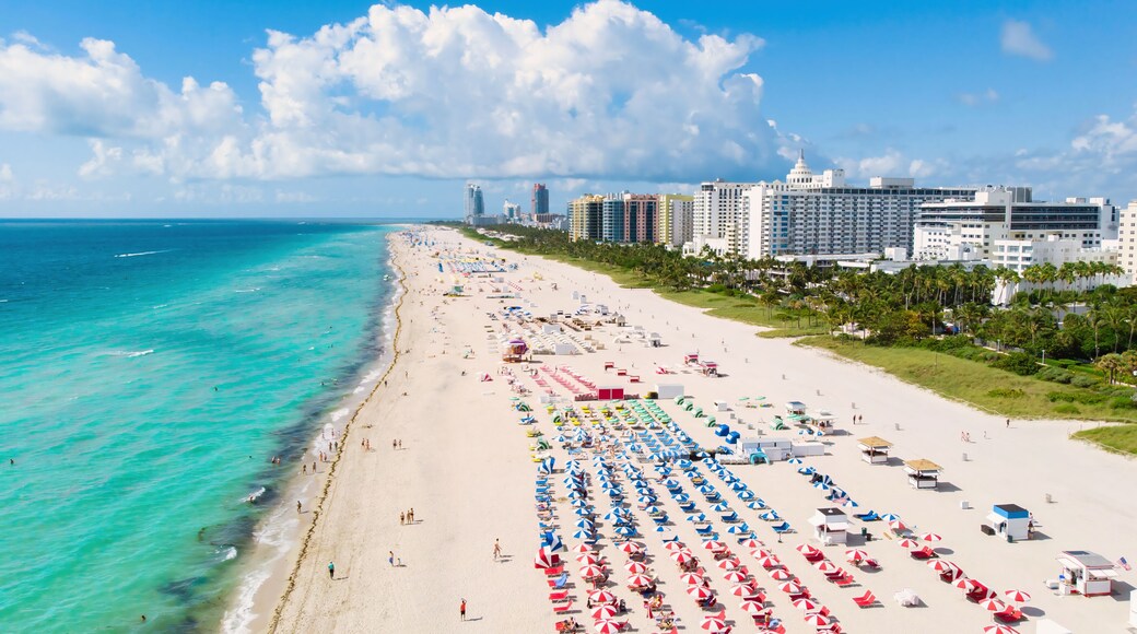 Una playa con hileras de sombrillas y sillas, un océano azul y cristalino, y un horizonte urbano de fondo.