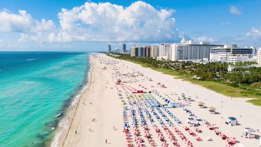 Ein Strand mit Reihen von Sonnenschirmen und Liegestühlen, einem klaren blauen Ozean und einer Stadtlandschaft im Hintergrund.