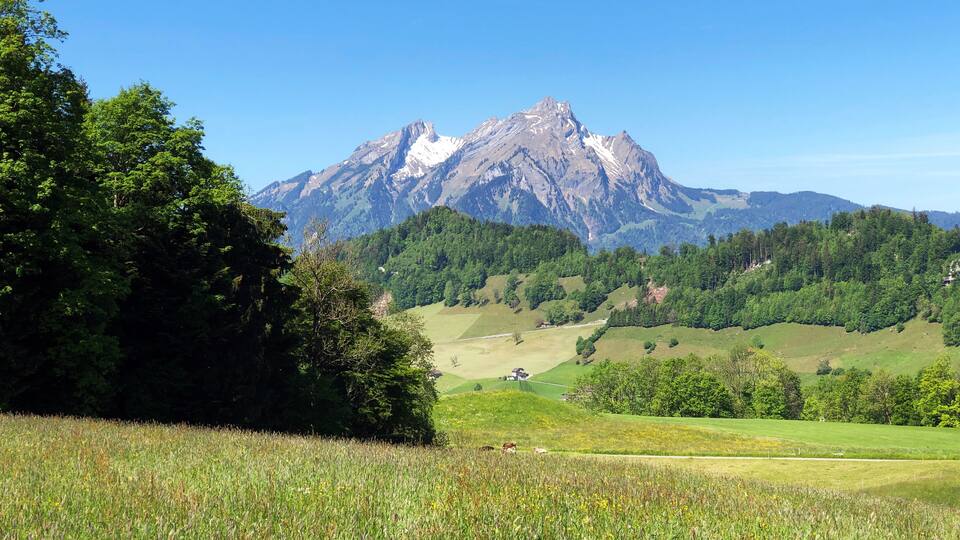 A mountain range with a prominent peak, lush green fields, and dense forested areas.