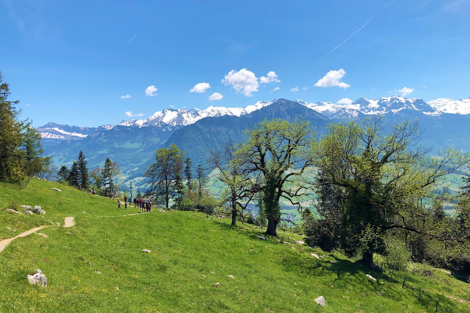 A grassy hillside with a path, trees, and snow-capped mountains in the background.