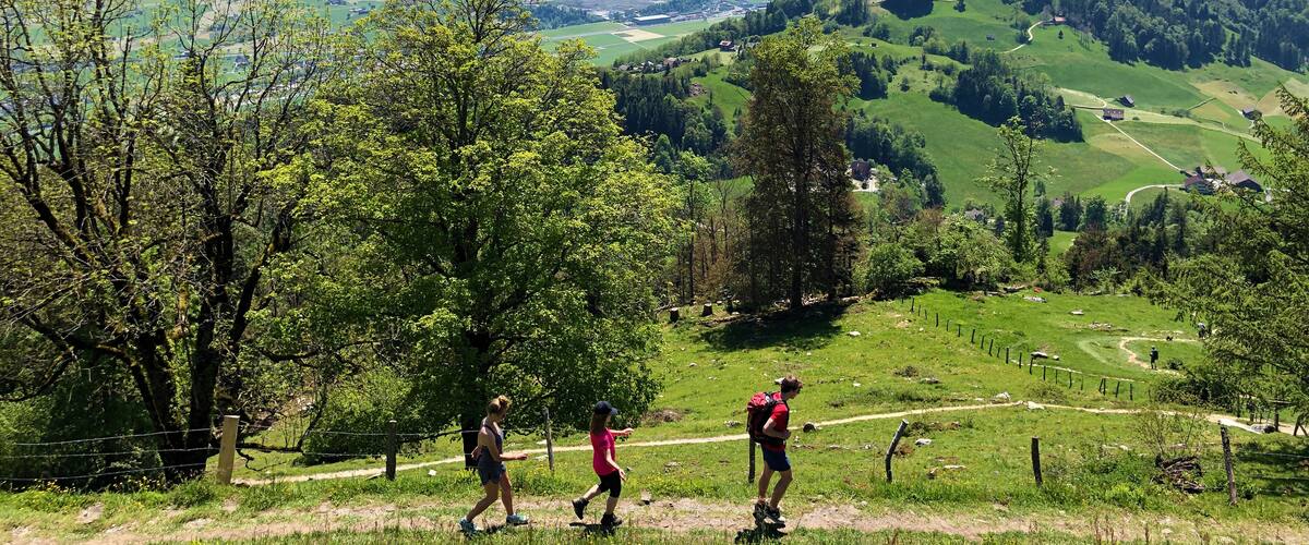 Walking and hiking recreational trails on the mountain Bürgenstock (Buergenstock or Burgenstock), Ennetbürgen (Ennetbuergen) - Canton of Nidwalden, Switzerland