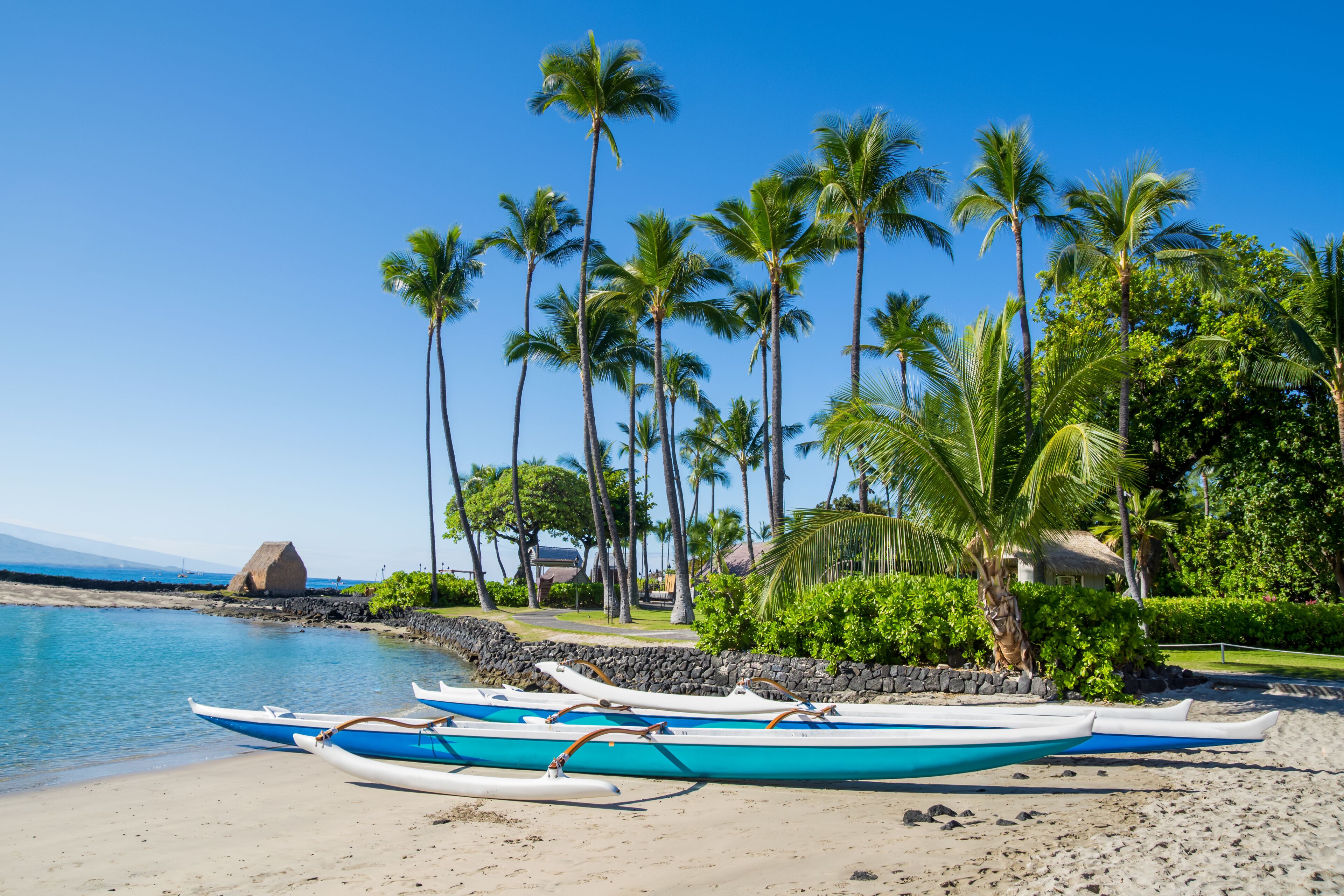 A beach with palm trees, a thatched-roof hut, and several traditional boats.