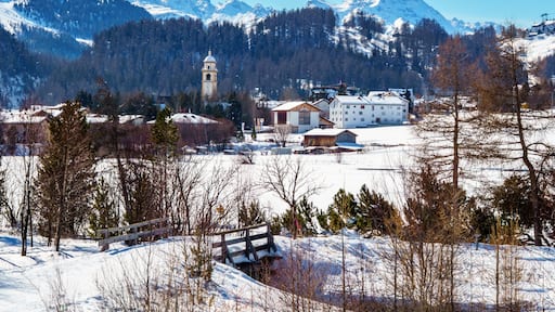 Celerina-Schlarigna