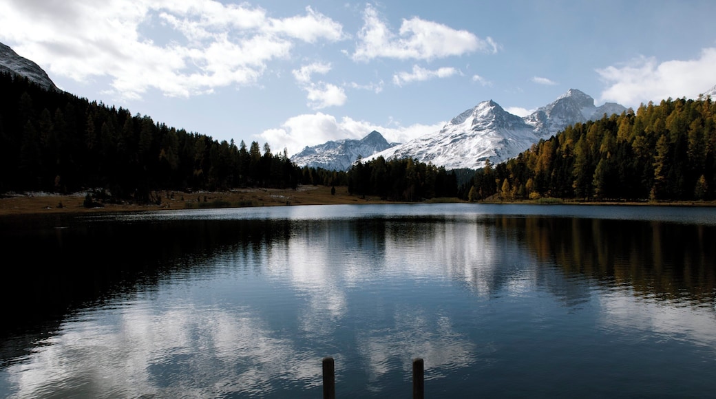 Lej da Staz, im Hintergrund von rechts Piz Julier, Piz Albana und Piz Polschin