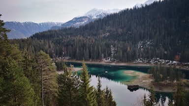 Un lago rodeado de un bosque denso y montañas nevadas.