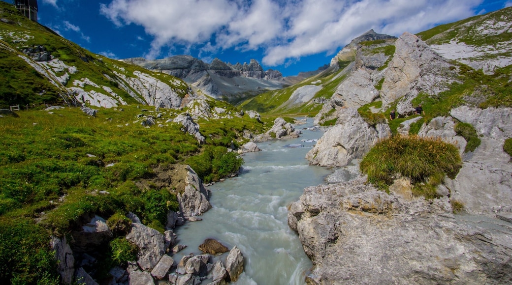 Der Wasserweg in Films.
#Aquatrove #River